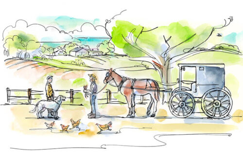 On a short leash illustration by Shelagh Armstrong